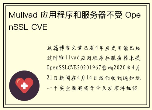 Mullvad 应用程序和服务器不受 OpenSSL CVE